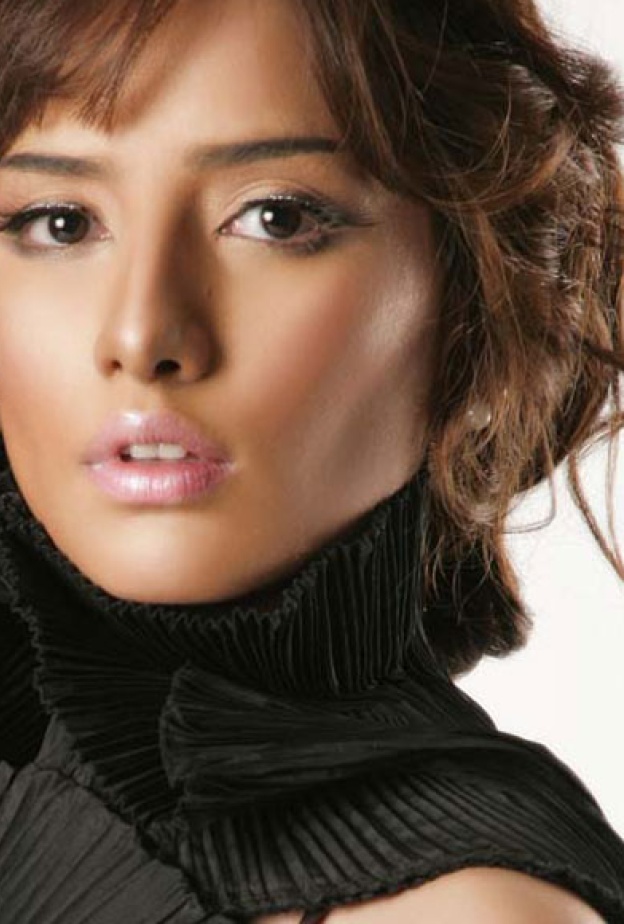 زينة خلال فترة حملها بالتوأم