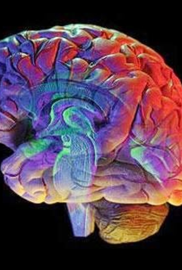 سرطان الدماغ