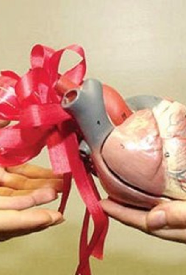 سعودية تتبرع بكليتها لابن ضرتها