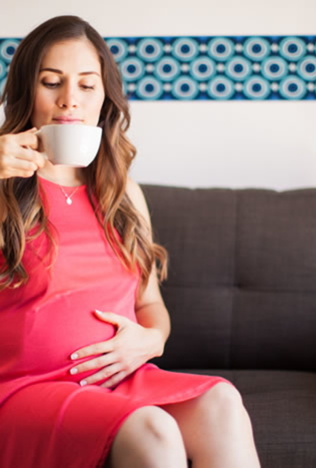 شرب ورق الجوافة للحامل