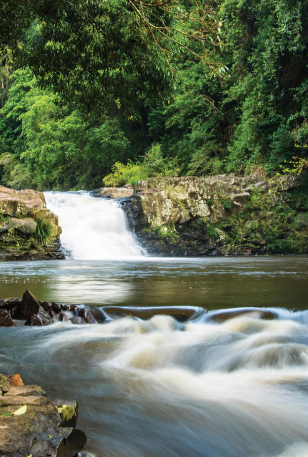 صالة فيلا الغرفة الواحدة في سبايسرز تاماريند