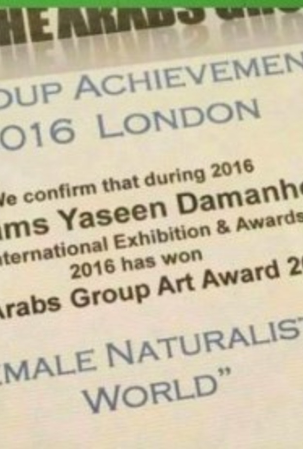 شهادة فوز الفنانة التشكيلية شمس الدمنهوري