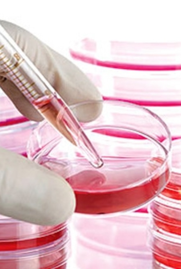 مركز الملك عبدالله يكشف عدد المتبرعين بالخلايا الجذعية بالسعودية