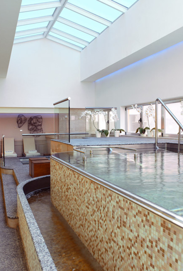 فندق Alvear Palace -  حوض للسباحة فوق سطح المبنى Alvear Palace Hotel - Rooftop Pool