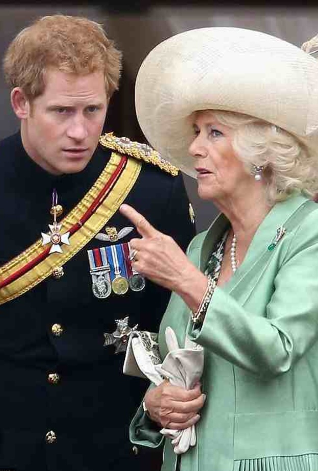 كاميلا تبحث عن عروس لابن زوجها