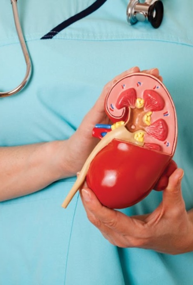 معاناة مرضى الفشل الكلوي