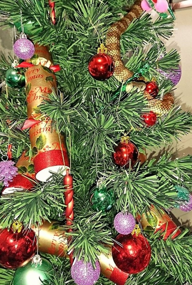 لن تصدقوا ماذا وجدت هذه العائلة في شجرة الميلاد!