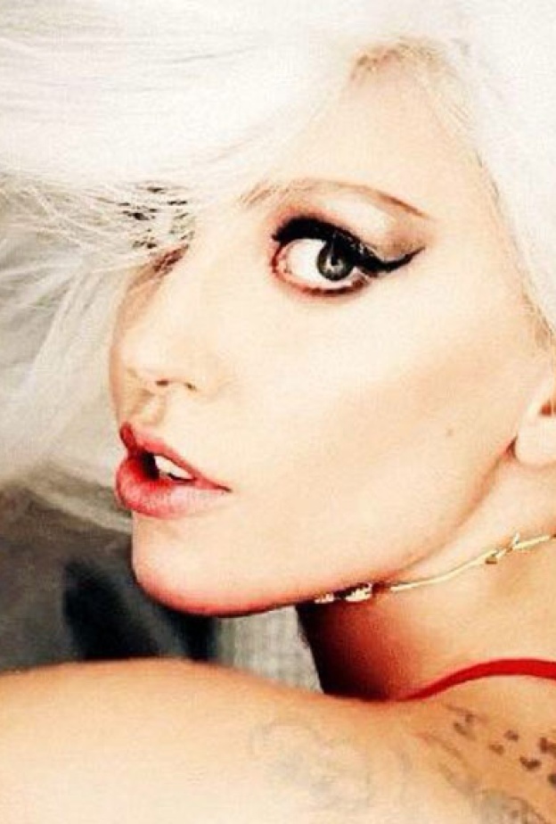 ليدي غاغا تطلق مجموعة من الاكسسوار الخاص بالحيوانات الأليفة