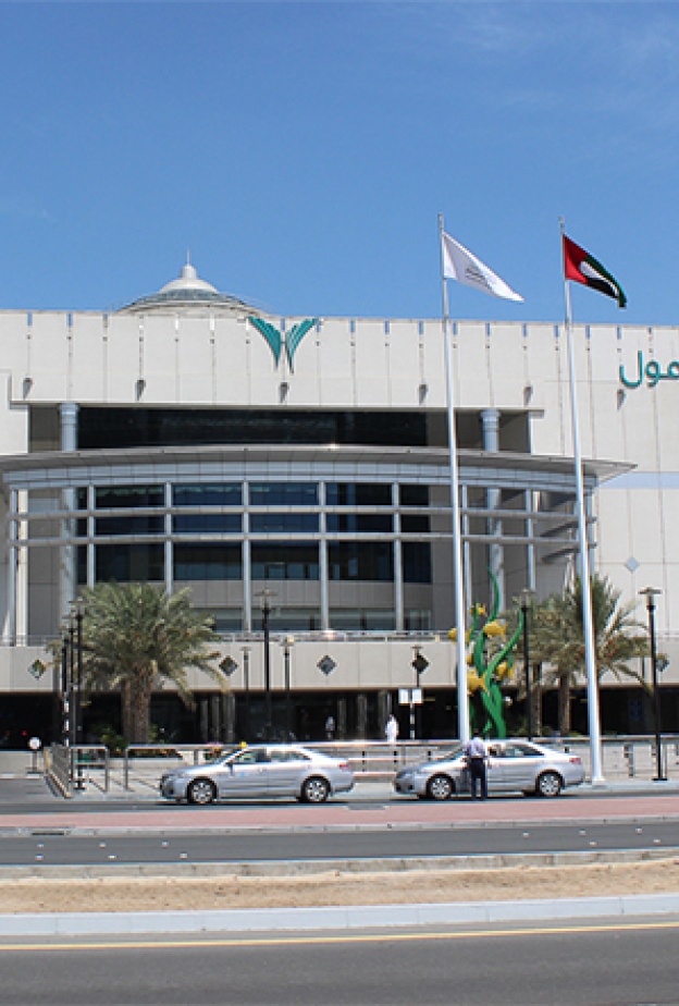 إعفاء مشروعات الإماراتيين الصغيرة من الرسوم