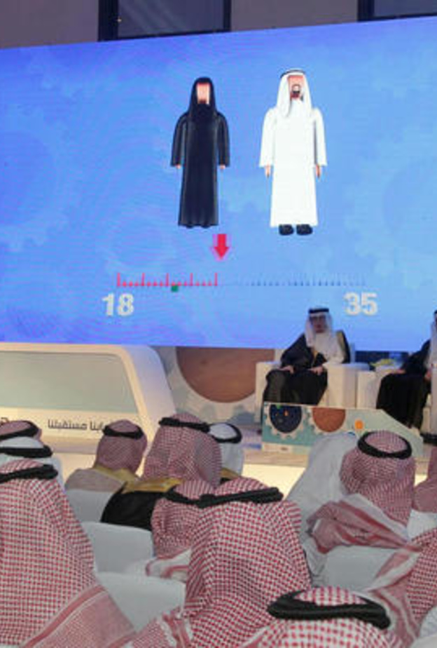 مناقشة أهداف البرنامج