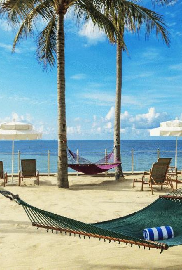 منتجع Southernmost Beach Resort Key West  –  إطلالة على الطبيعة  Southernmost Beach Resort Key West - Nature View