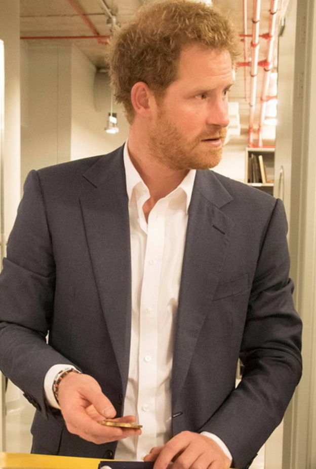 هاري يتجول بالمعرض