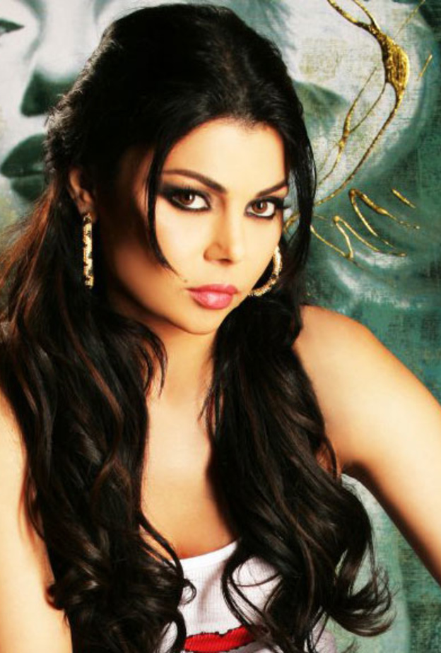 هيفاء وهبى الأعلى أجرا