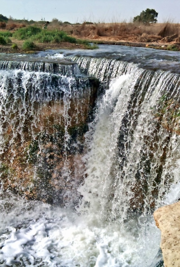 وداي الريان