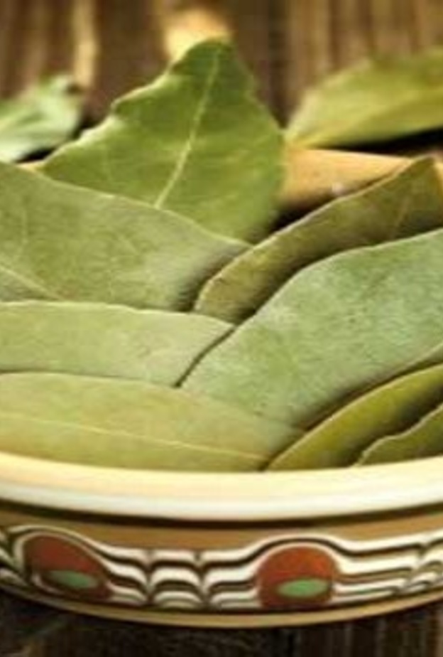 فوائد اوراق الغار للصحة عديدة