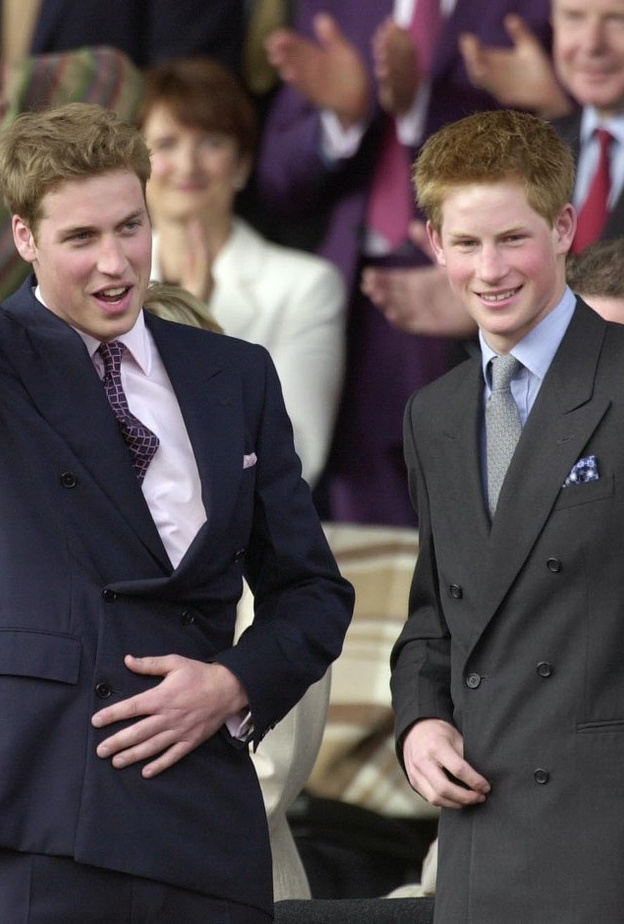 وليام وهاري يرفضان فكرة الحفل الموسيقي لأحياء ذكرى الأميرة ديانا