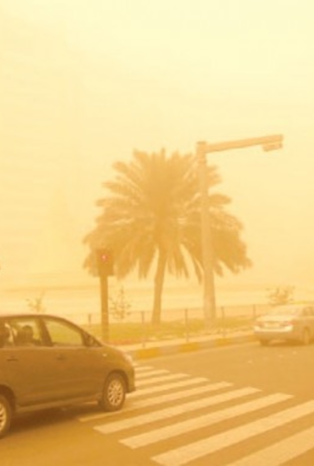 نصائح بسيطة لحماية سيارتك من العواصف 