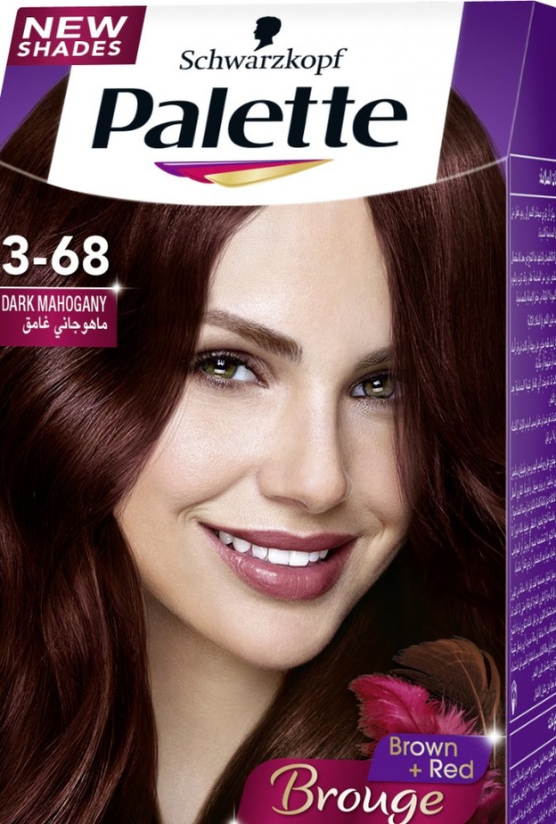 تمتعي بألوان غنية براقة ولمعان مع Palette من Schwarzkopf