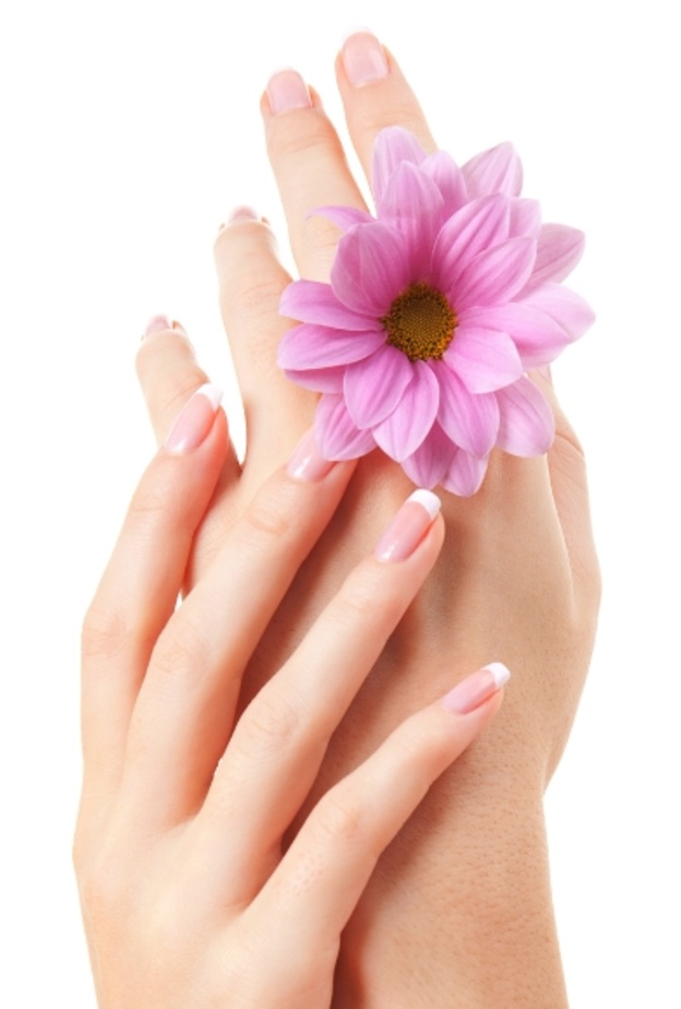 جمال اليدين في الشتاء