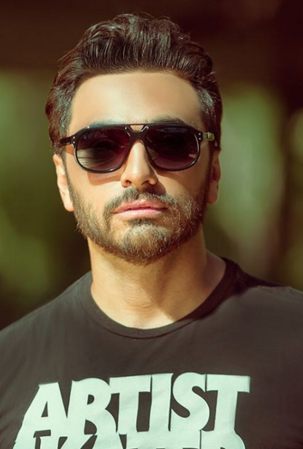 تامر حسني