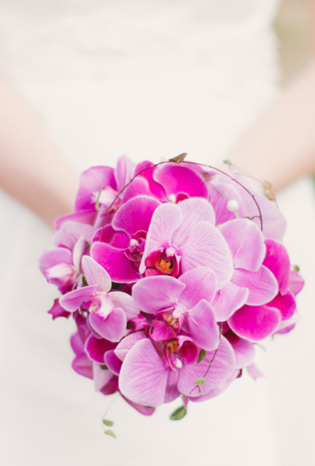  زهرة القرنفل