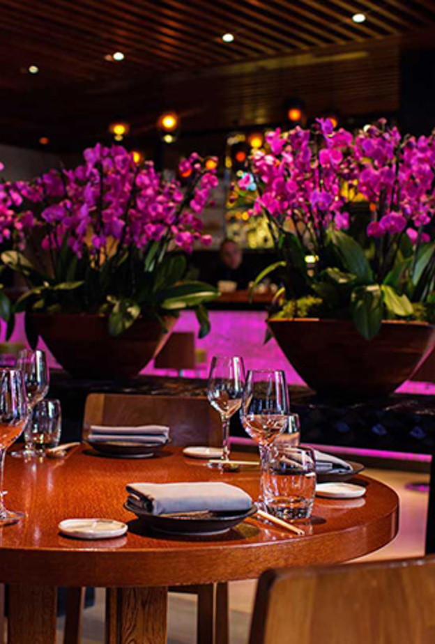 "نوفيكوف" من لندن إلى دبي !