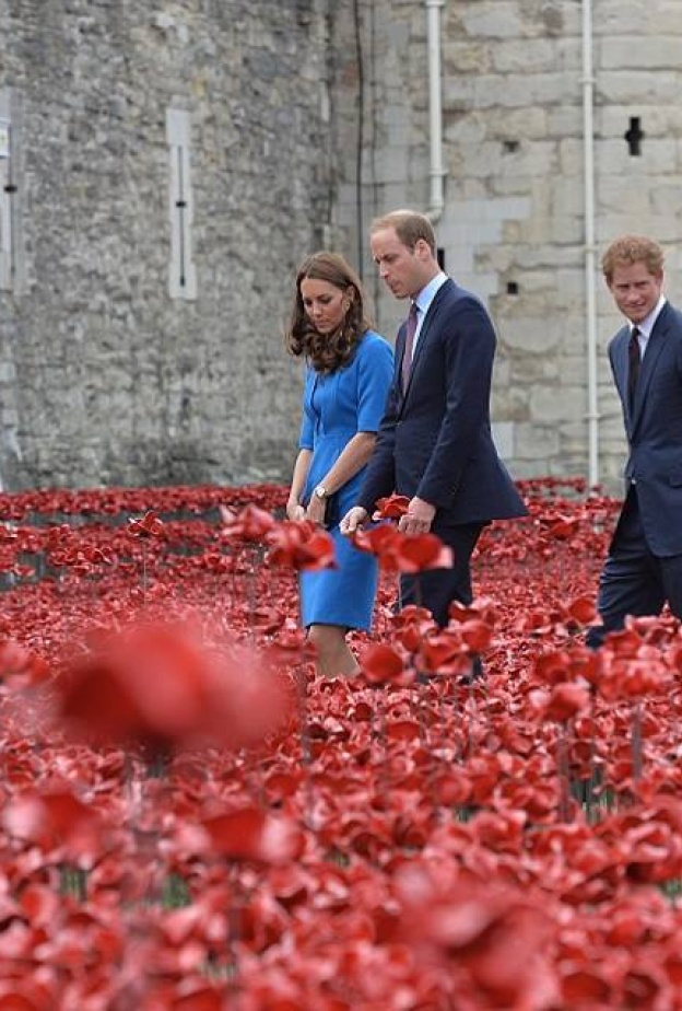وليم، هاري وكيت في وسط الـ888,246 وردة من السراميك والتي غرست في تاور أو لندن تكرماً لضحايا الإمبراطورية البريطانية في الحرب العالمية الأولى