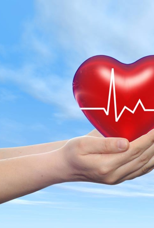 الدورة الشهرية تحمي قلبك.. فكيف ذلك؟!