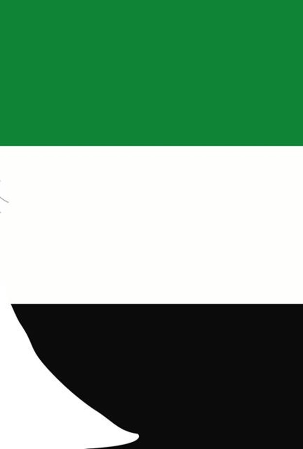 في الإمارات.. منح زواج لمحدودي الدخل