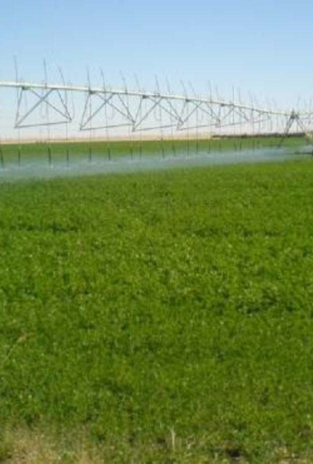 وزارة البيئة السعودية أعلنت حظر 7 منتجات لارتفاع نسبة المبيدات بها