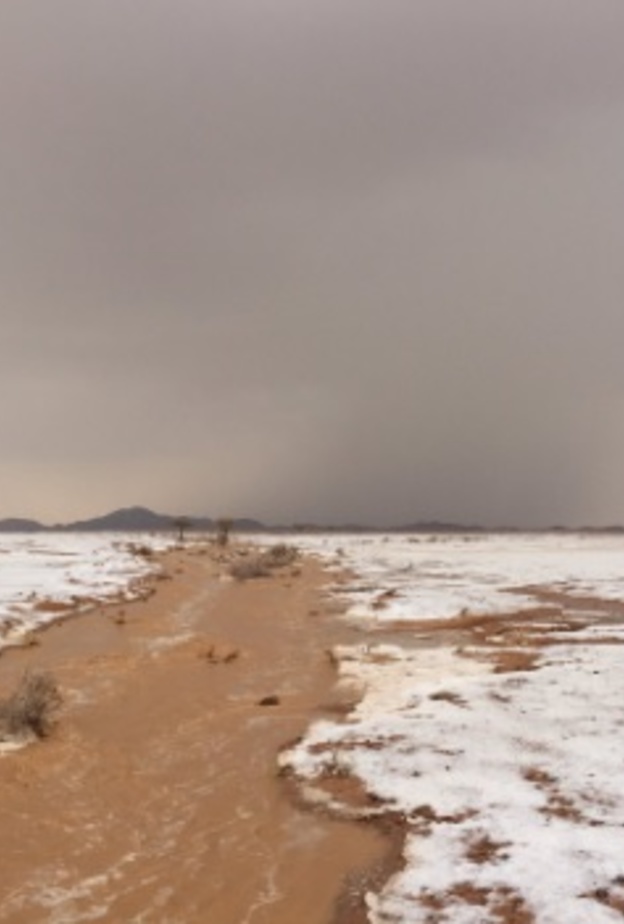 طقس بارد في السعودية