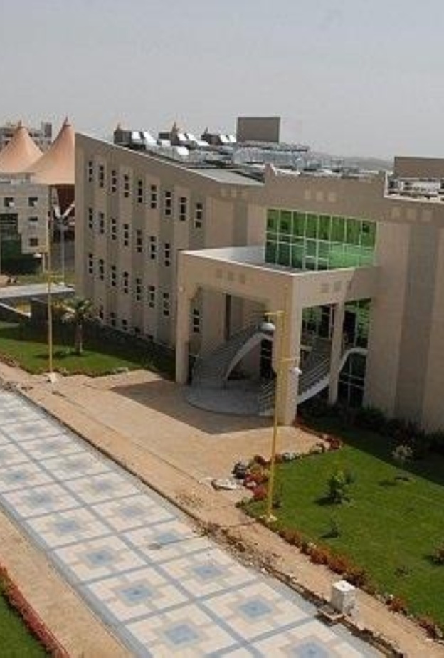 جامعة بيشة