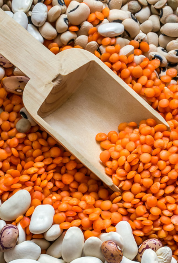 البقول هي الغذاء الأهم للعام 2016