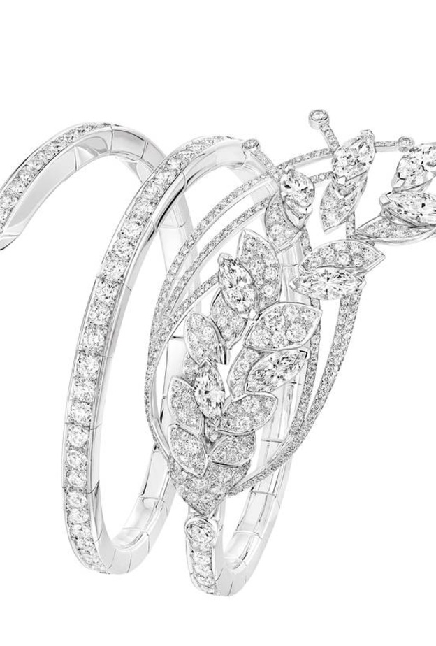 سوار يحمل باقة من السنابل