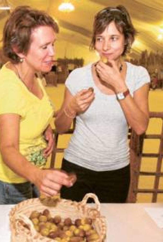 مهرجان البلح الأكبر في العالم  