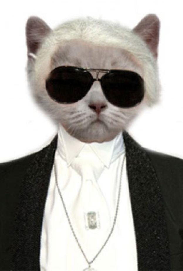 قطة لاغرفيلد تدمن الآيباد