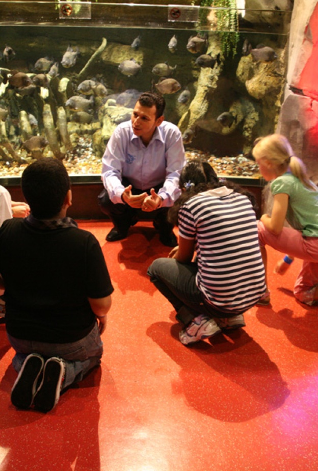 مفاجآت مخيم دبي مول الصيفي