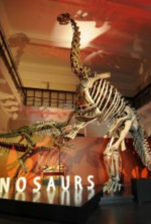 افتتاح متحف الديناصورات في استراليا 