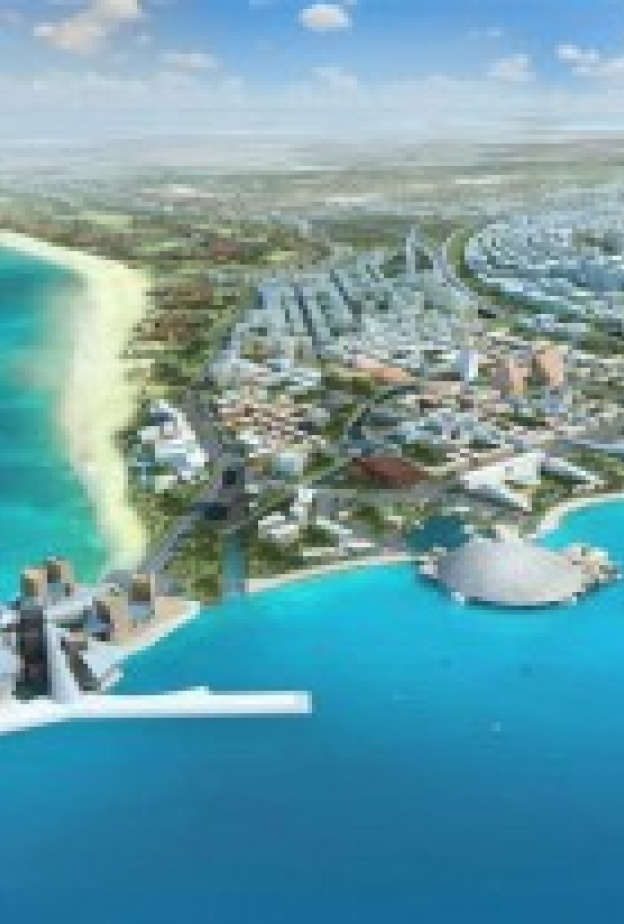   بيوض سلاحف على جزيرة السعديات 