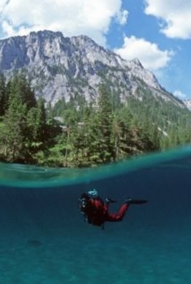 الحديقة الخضراء.. جمال غارق 