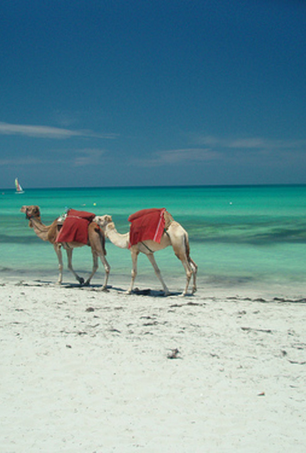 جزيرة جربة في الجنوب التونسي