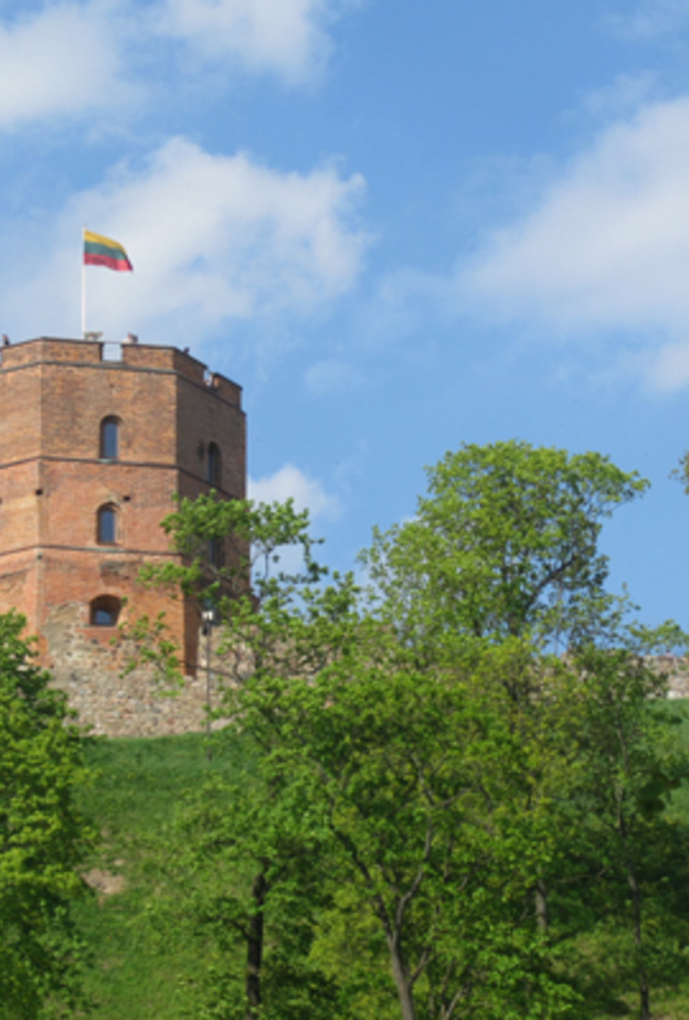 برج قلعة جيديميناس