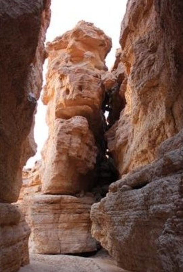 منتزه الثمامة