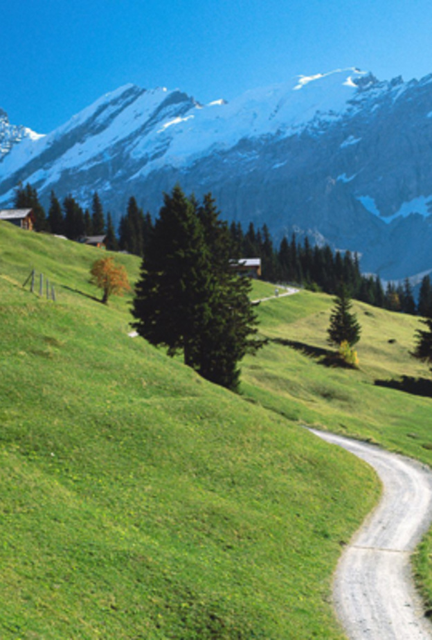 بيرنيز أوبرلاند، سويسرا