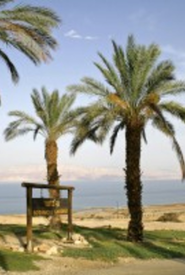 عطلة لا تُنسى في جنوب سيناء