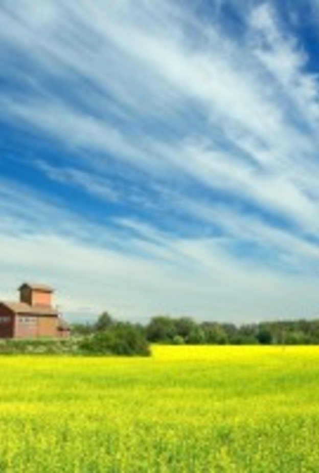 هلسنكي .. عاصمة فنلندا المشمسة