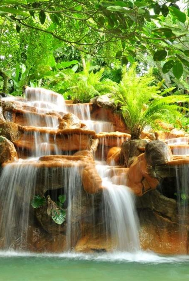 جمال الشالالات وسط الغابات