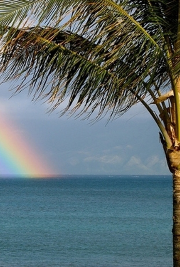 After the Rain