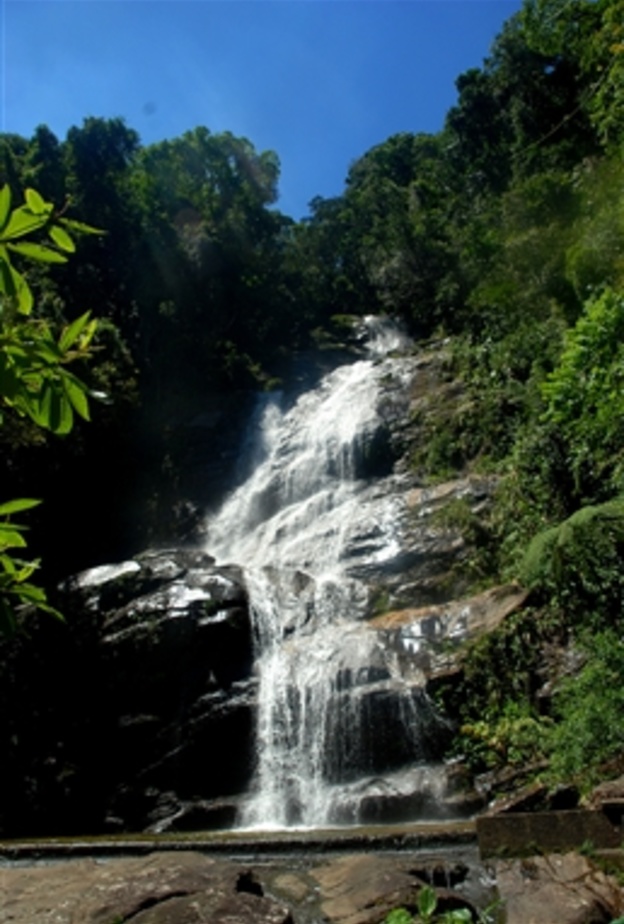 Tijuca National Park