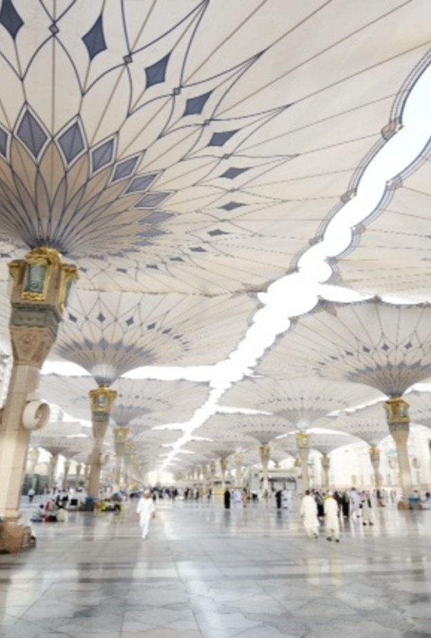 المدينة المنورة